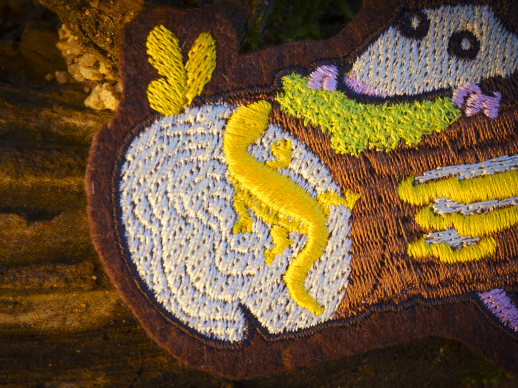 Parche para coser de zarigüeya y amigos