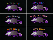 Load image into Gallery viewer, Move I&#39;m **** Embroidered Opossum T-shirt
